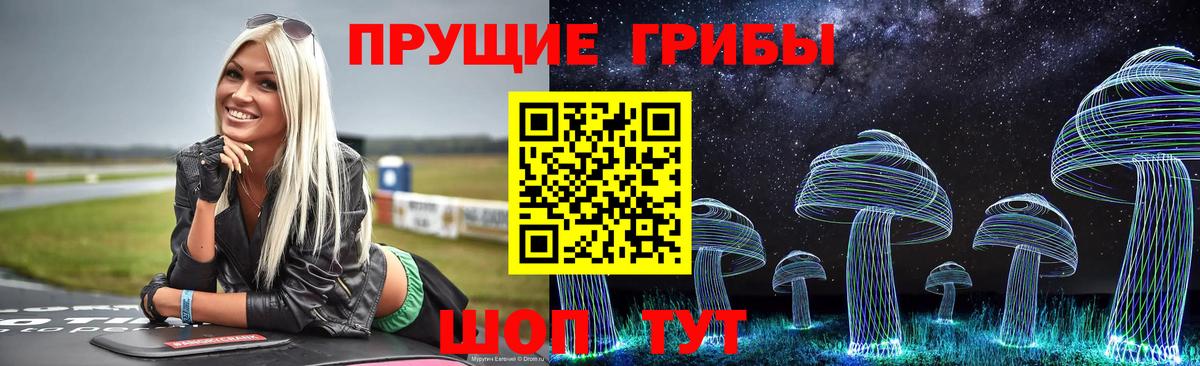 Вологда  магазин продажи   Псилоцибиновые грибы ЛСД  Вход с VPN  Псилоцибиновые грибы мицелий 