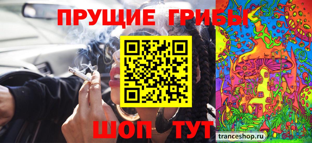 Галлюциногенные грибы GOLDEN TEACHER Вологда